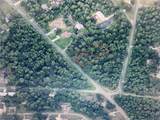 10047 Dunnellon Road - Photo 5