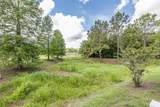 13312 Old Florida Circle - Photo 27