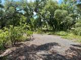 Long Circle - Photo 1