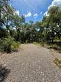  Long Circle - Photo 3