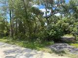  Long Circle - Photo 6