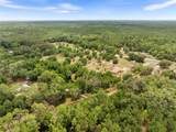 2919 County Road 234 - Photo 10