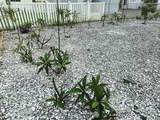 7306 Grand Pine Drive - Photo 93