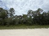 18011 Nutcracker Road - Photo 10
