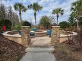 3270 Francoa Drive - Photo 45