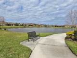 3270 Francoa Drive - Photo 51