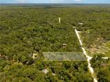 7333 Riverview Drive - Photo 3