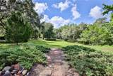 8270 Sycamore Drive - Photo 46