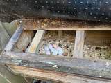 11340 28TH Way - Photo 25