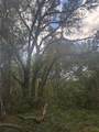  Deepwell Drive - Photo 3