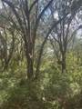  Deepwell Drive - Photo 5