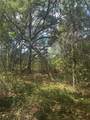  Deepwell Drive - Photo 6