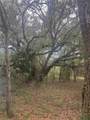  Deepwell Drive - Photo 7
