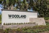 14366 Hammock Oak Street - Photo 48