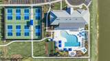 14366 Hammock Oak Street - Photo 61