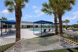 14366 Hammock Oak Street - Photo 74