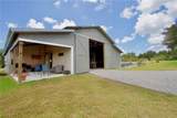 32112 Jack Russell Court - Photo 53