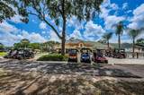 6646 Garden Palm Court - Photo 72