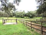 29248 Wildlife Lane - Photo 10