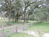29248 Wildlife Lane - Photo 24