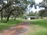 29248 Wildlife Lane - Photo 3