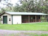29248 Wildlife Lane - Photo 4