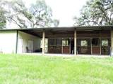 29248 Wildlife Lane - Photo 5