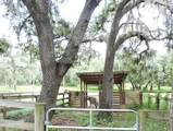 29248 Wildlife Lane - Photo 7