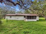 34696 Orchid Parkway - Photo 10