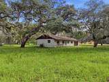 34696 Orchid Parkway - Photo 6