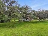 34696 Orchid Parkway - Photo 8
