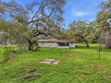 34696 Orchid Parkway - Photo 9