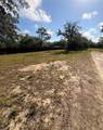 8999 Suncoast Boulevard - Photo 4