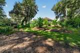 28211 Magnon Drive - Photo 57