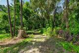 28211 Magnon Drive - Photo 71