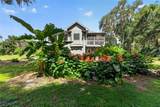 28211 Magnon Drive - Photo 76
