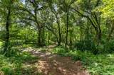 28211 Magnon Drive - Photo 86