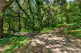 28211 Magnon Drive - Photo 87