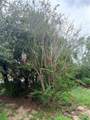 11411 Sagamore Street - Photo 2