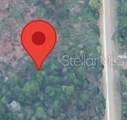 18063 Rapidan Road - Photo 3