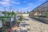 4211 Augustine Road - Photo 34