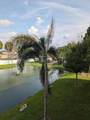 6420 Banyan Boulevard - Photo 40