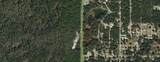 6451 Carl G Rose Highway - Photo 2