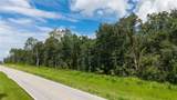 10.30 Acres Wiscon Road - Photo 8