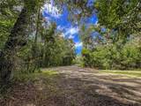  Old Hunter Road - Photo 8