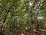  Old Hunter Road - Photo 9