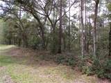 601 Marquette Lane - Photo 3