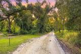 0 Lucilles Shady Lane - Photo 1