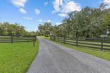 7041 Quarterhorse Lane - Photo 4