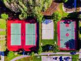 10643 Marsha Drive - Photo 49